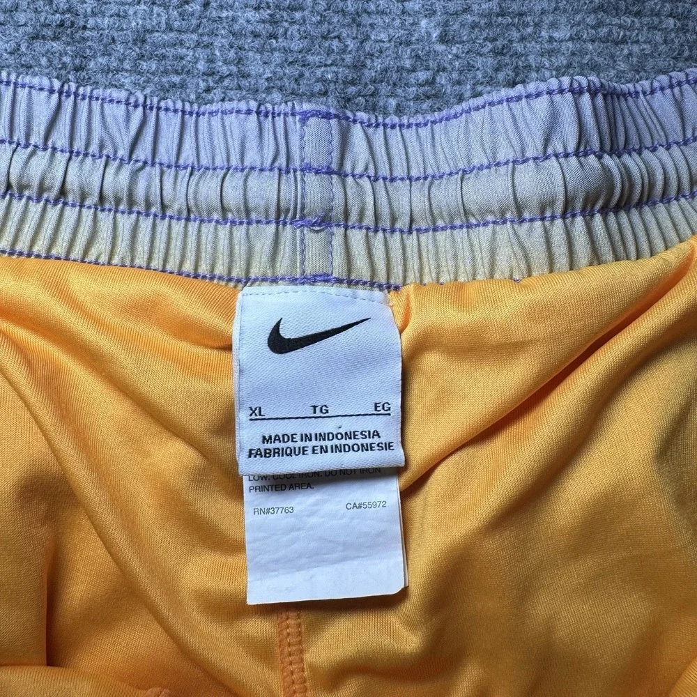 Nike Swim Athletic Shorts Horizon Stripe Purple Yellow Men Size XL Lined 717384